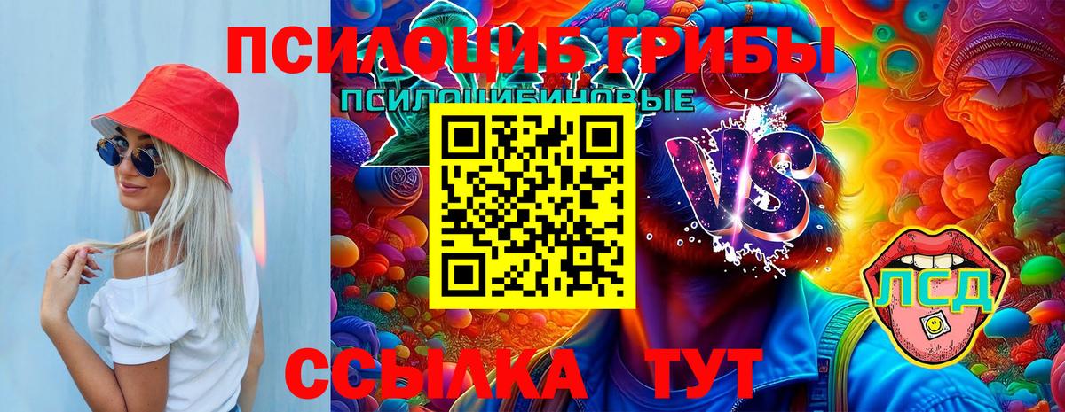 Псилоцибиновые грибы Magic Shrooms  Вход с VPN  закладки  Псилоцибиновые грибы прущие грибы  Нарьян-Мар 